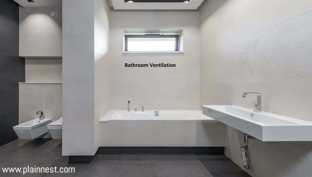 Mushrooms Growing in Your Bathroom