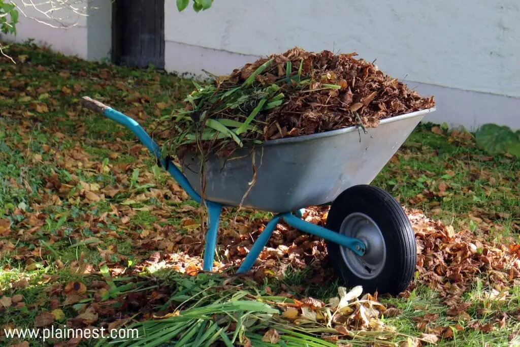 Compost for Indoor Plants
