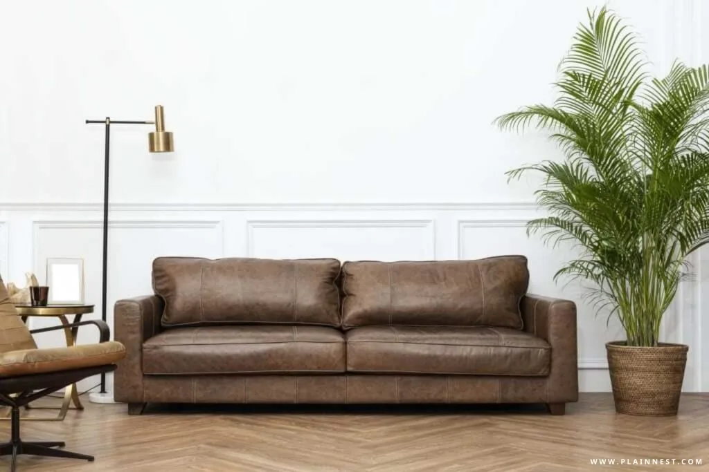 Brown Leather Sofa